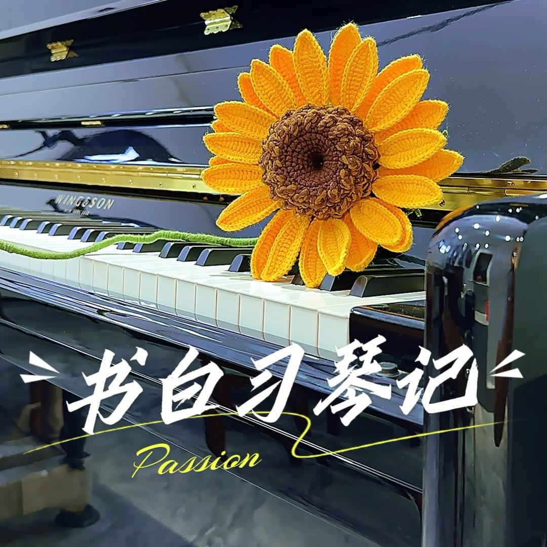 书白学琴记