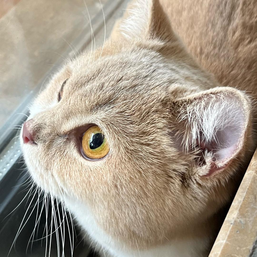 沁沁.
