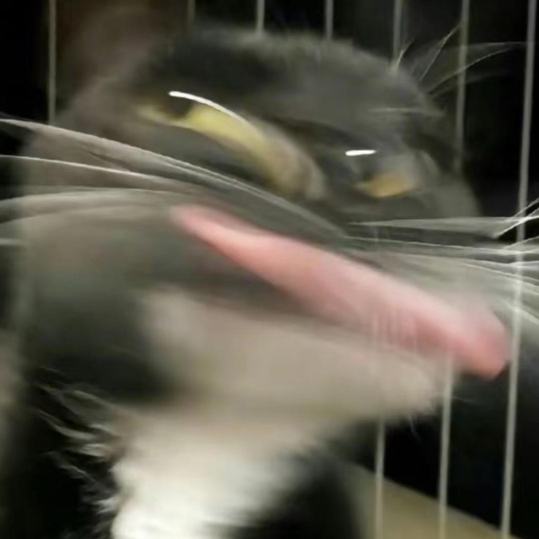 天物我一个暴殄