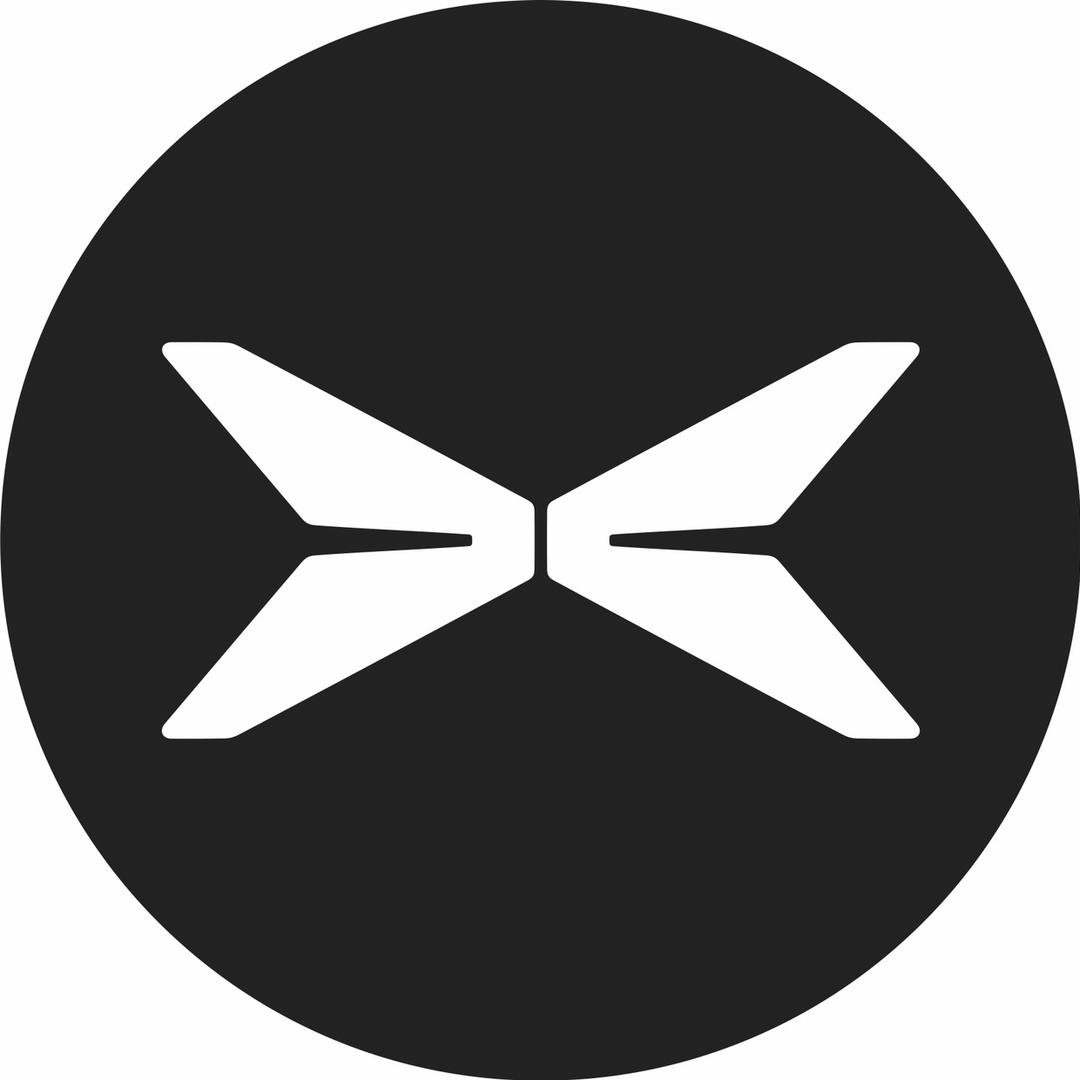 东莞南城小鹏友