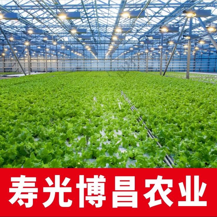 寿光博昌种苗种业