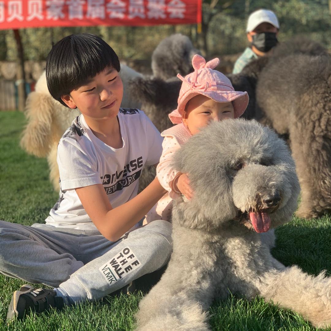 银丝狐喵小姐🌼🌸🌺