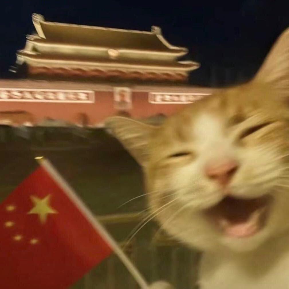 小      7.