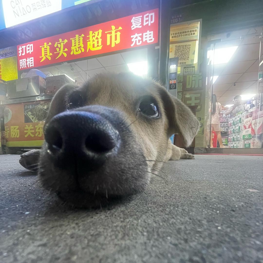 陪我吃饭