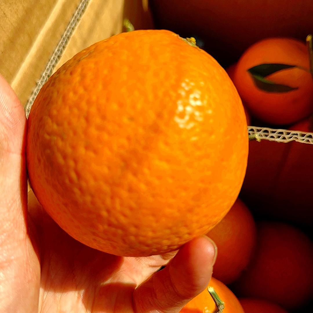 报纸书本回收♻️