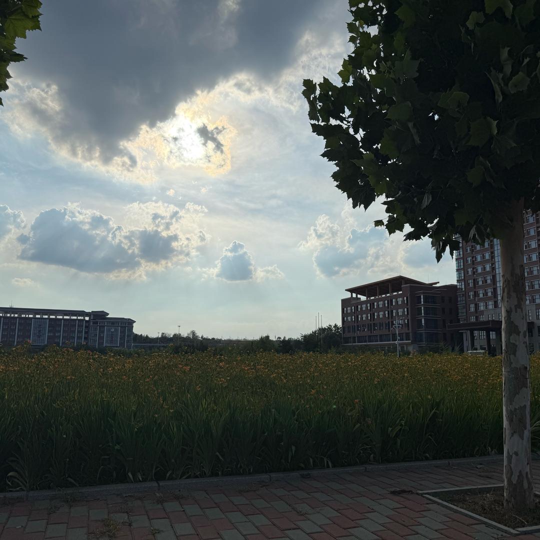 力明中职 王老师