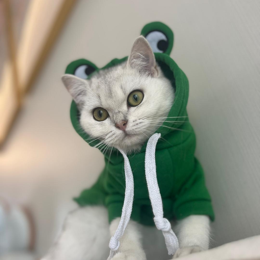 楠喃