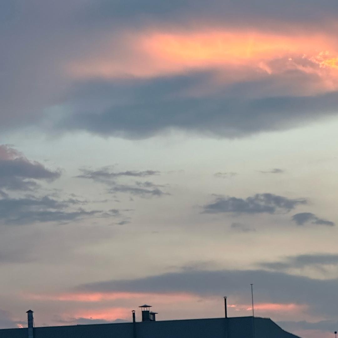 最帅的大脸盘子