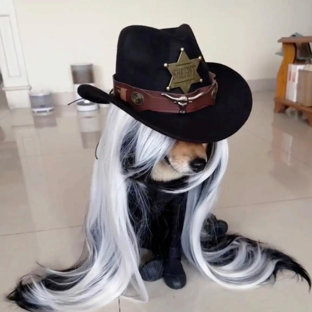 靥月