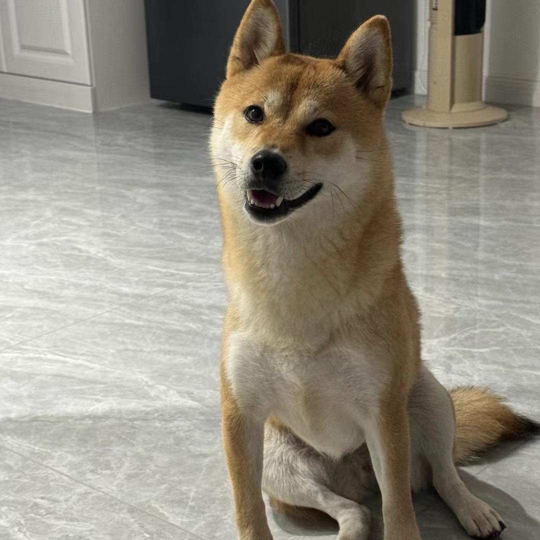 毛豆不吃毛豆