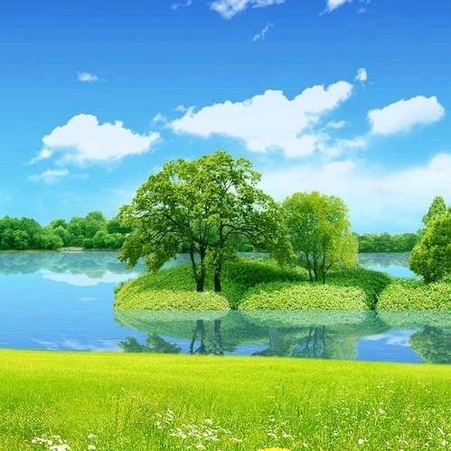 顺其自然1
