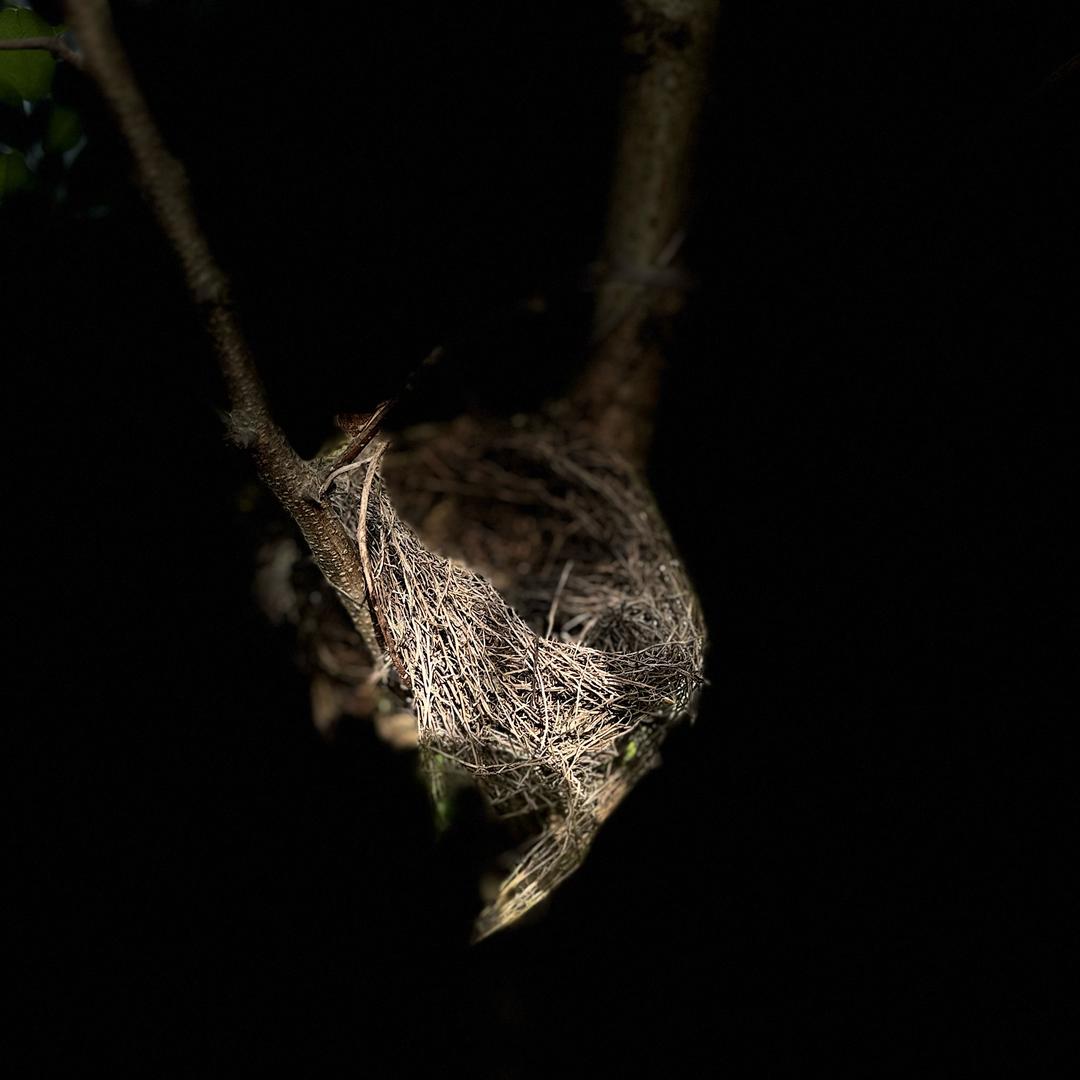 Yc钓鱼（野钓选手）