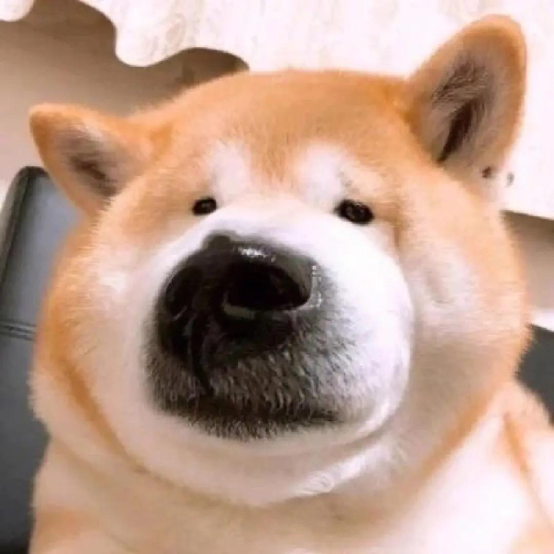 潺潺流过