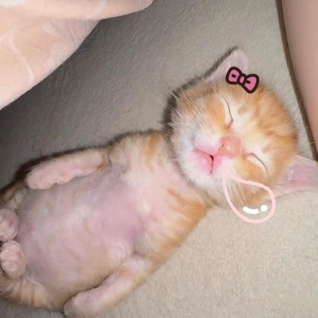 甜甜圈.