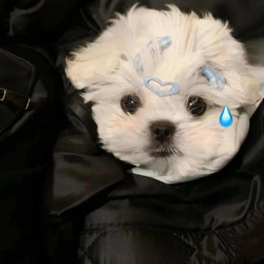咸漁