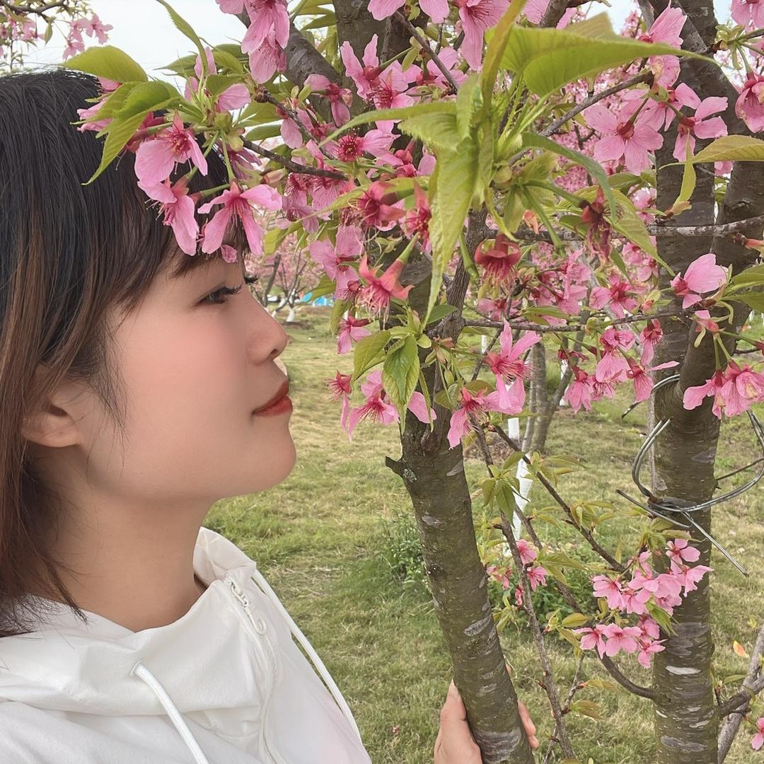 🍒🍒yx