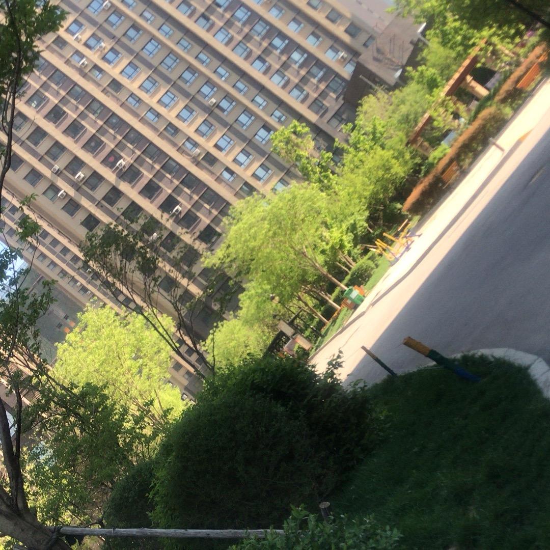 @皮蛋的车库