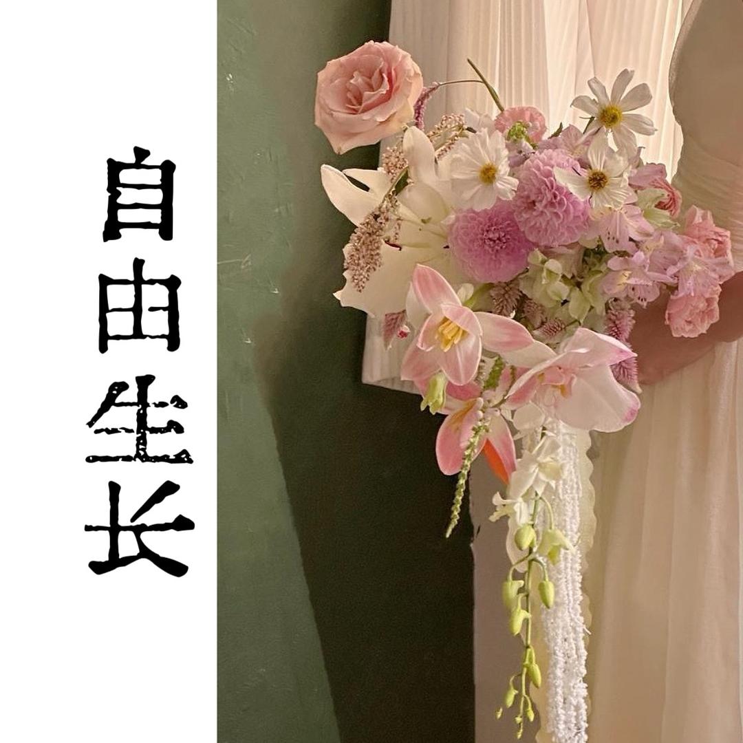 自由生长Freedom flora