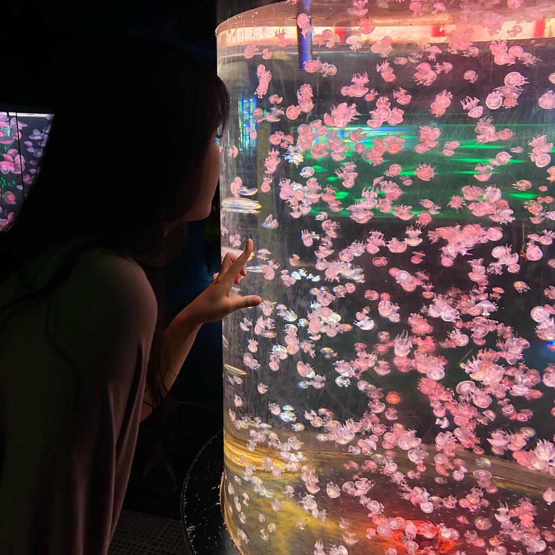 为什么鼻石是咸的