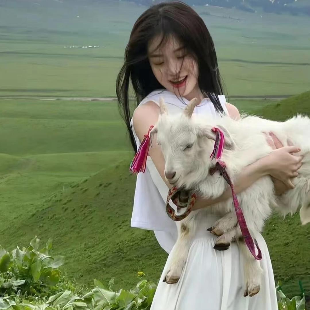 念念（涨粉版）