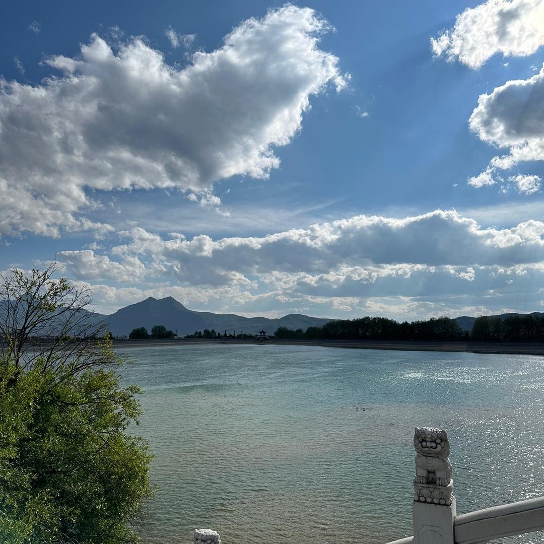 春风若有怜花意