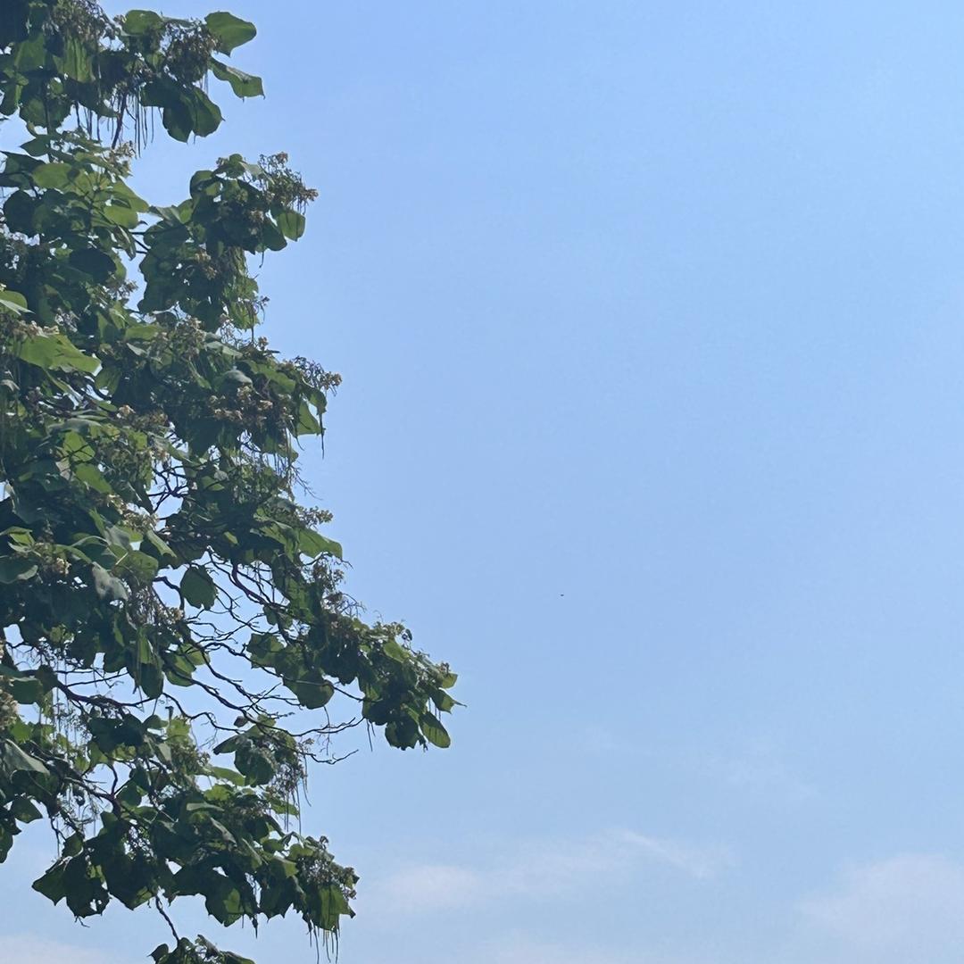 c.