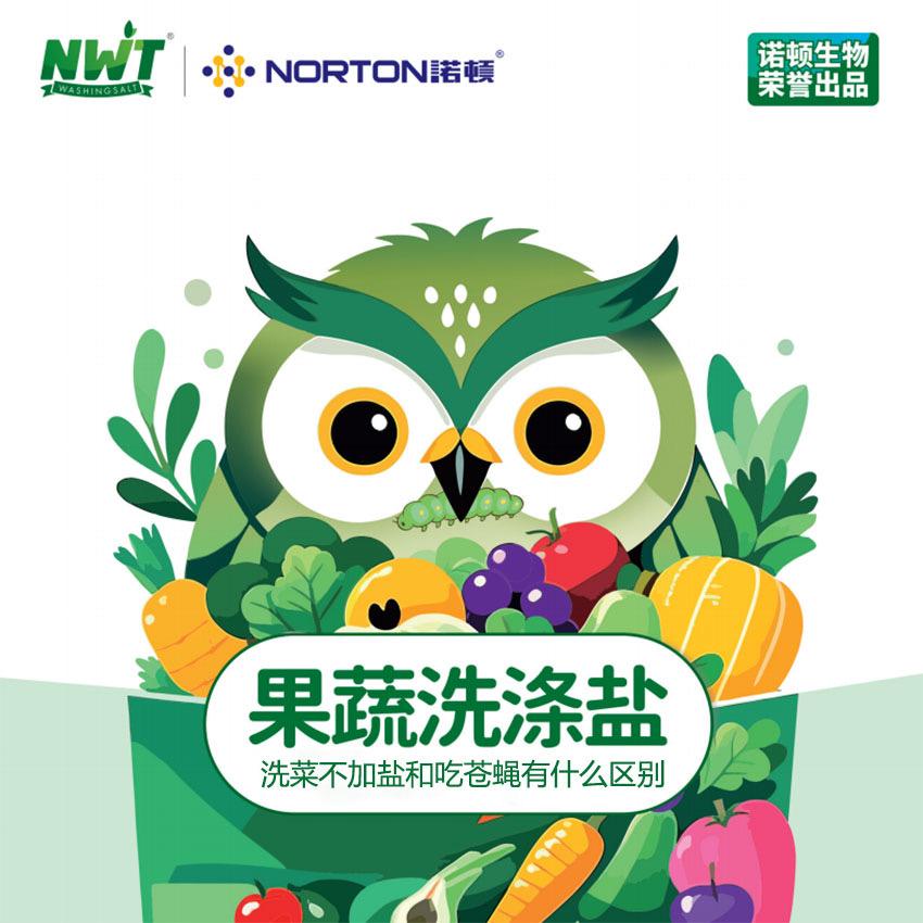 诺顿品牌软水盐总部号