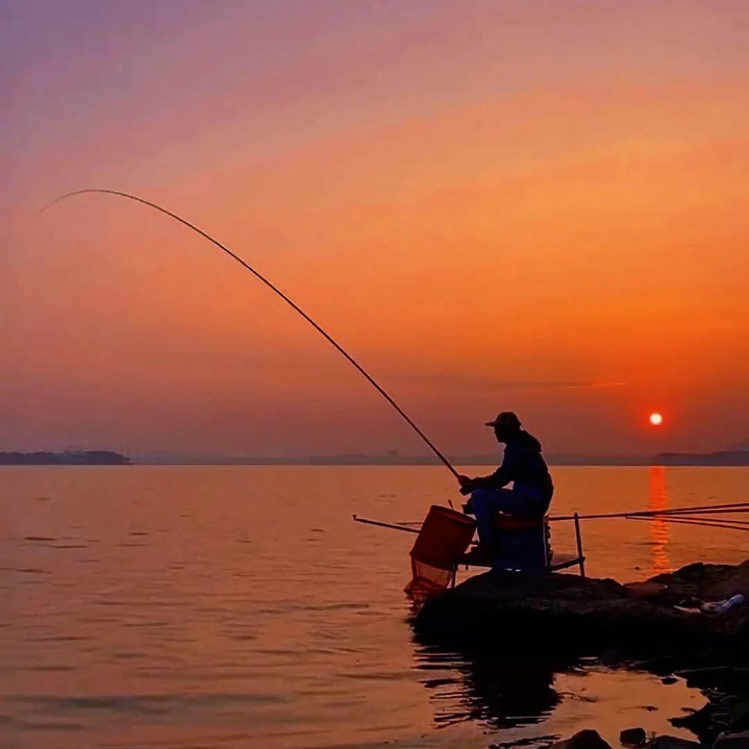 特别香鱼饵渔具