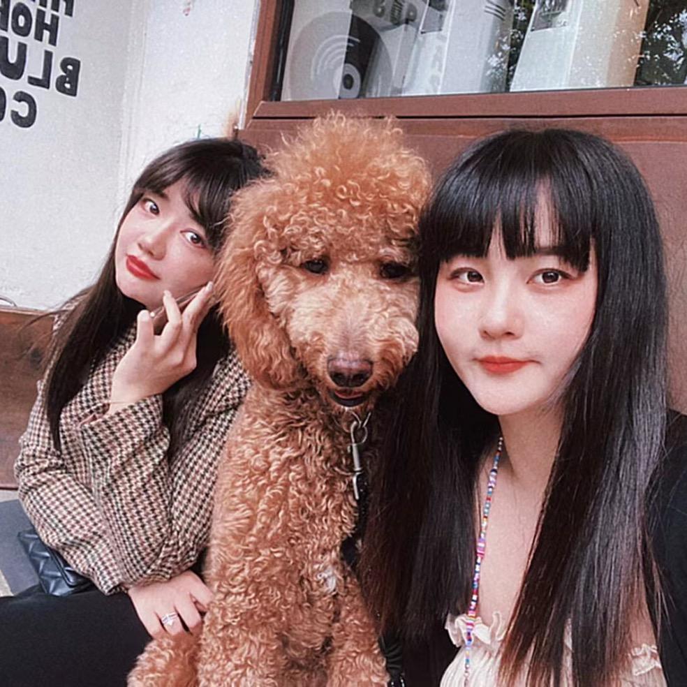 (金银岛)切糕妹儿中古