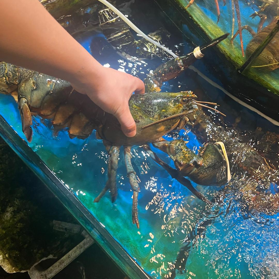 @¥