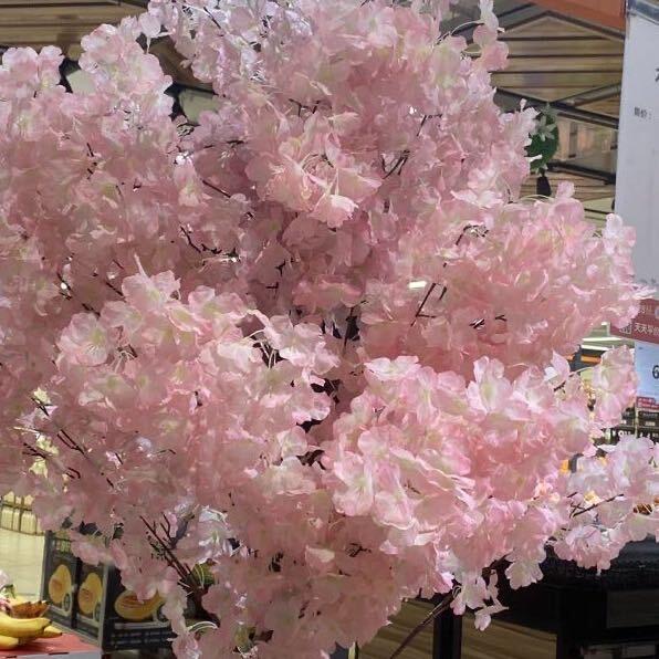 余生随心