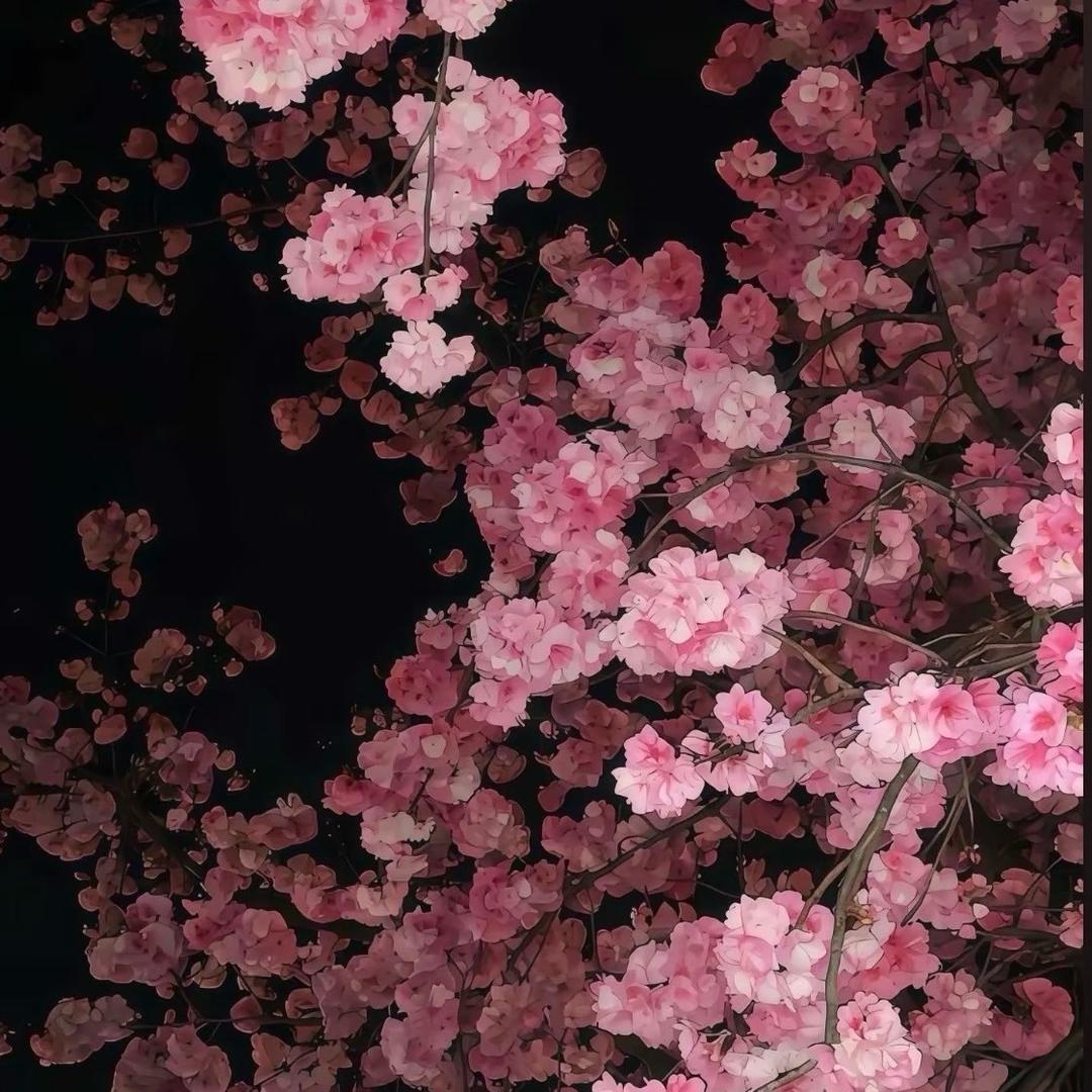 没话讲就是帅