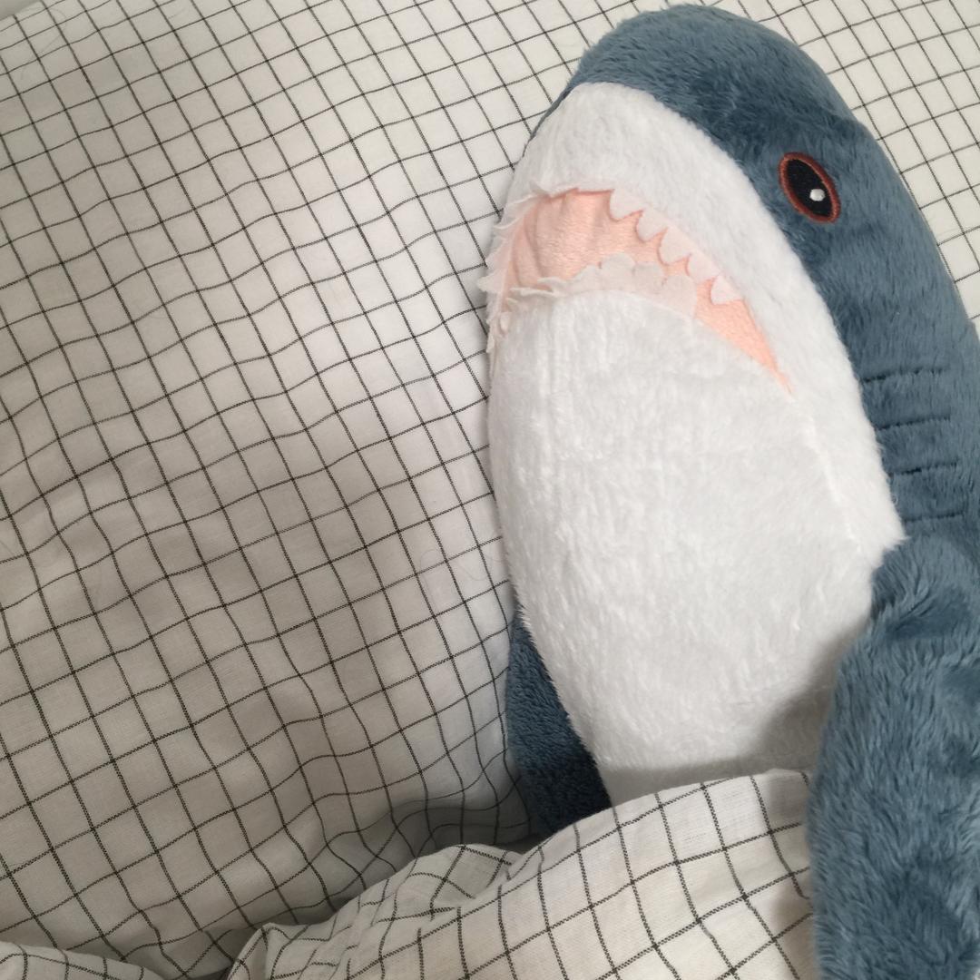 宋郁