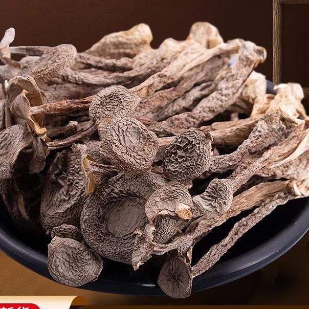 高山鹿茸菇甄选