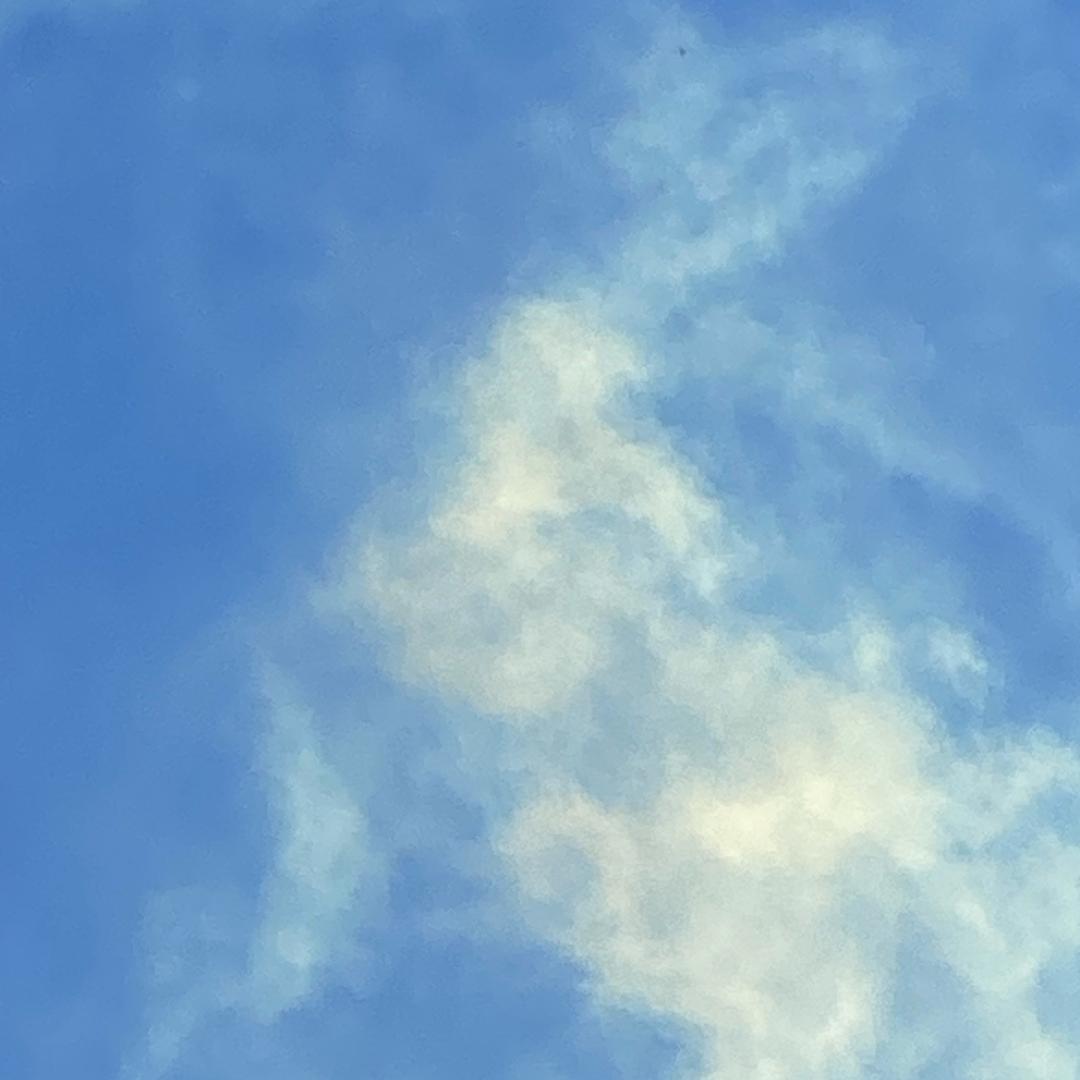 97555495171