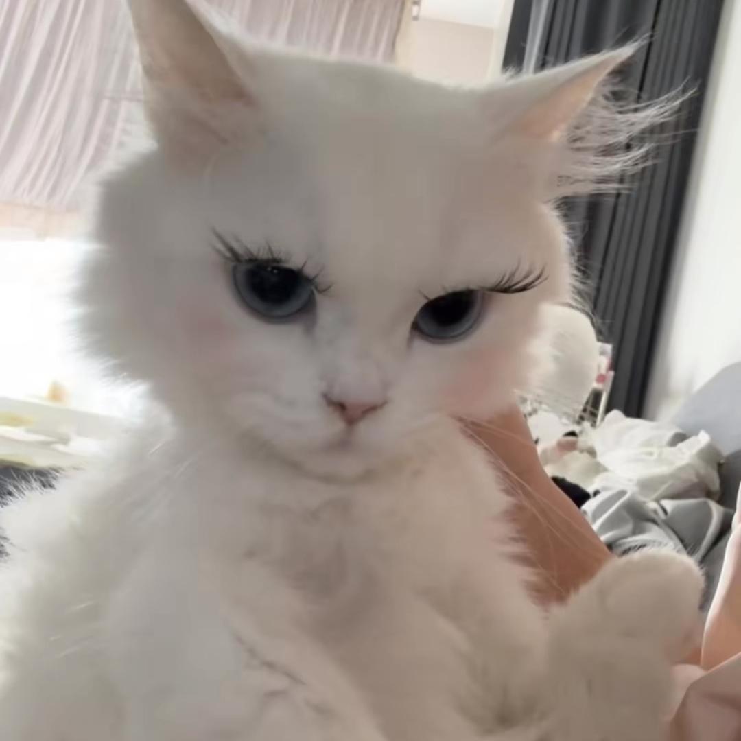 小蒋想拉臭臭