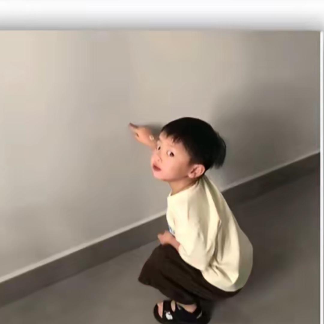 刘了个刘