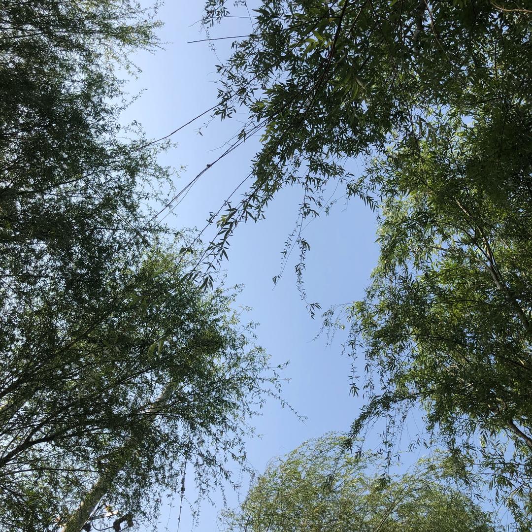 嘎嘎的快乐剧场