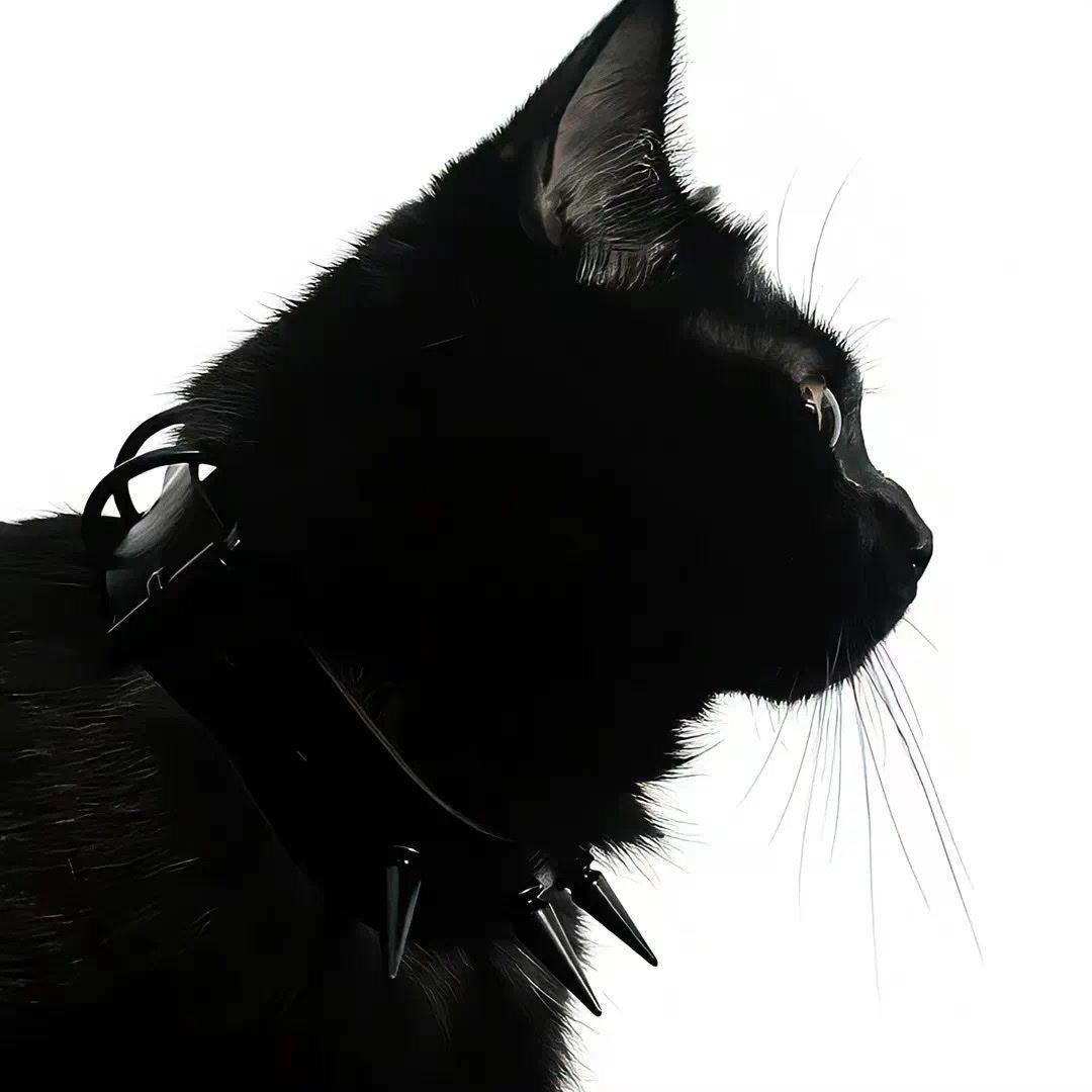 今天要开心ᵕ̈