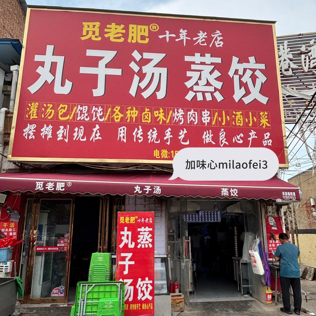 觅老肥丸子汤蒸饺-馅料版
