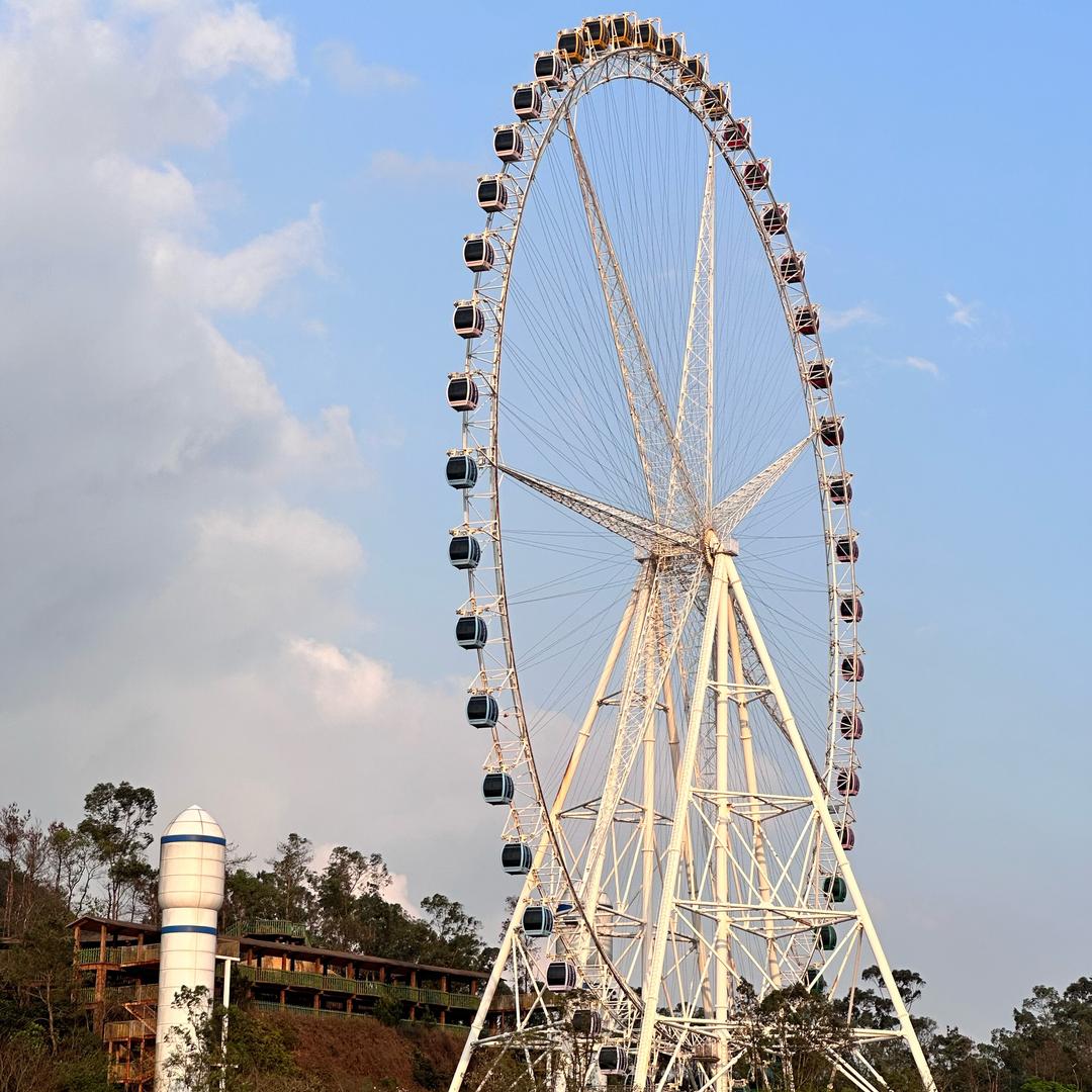 🌻🌻向日葵许