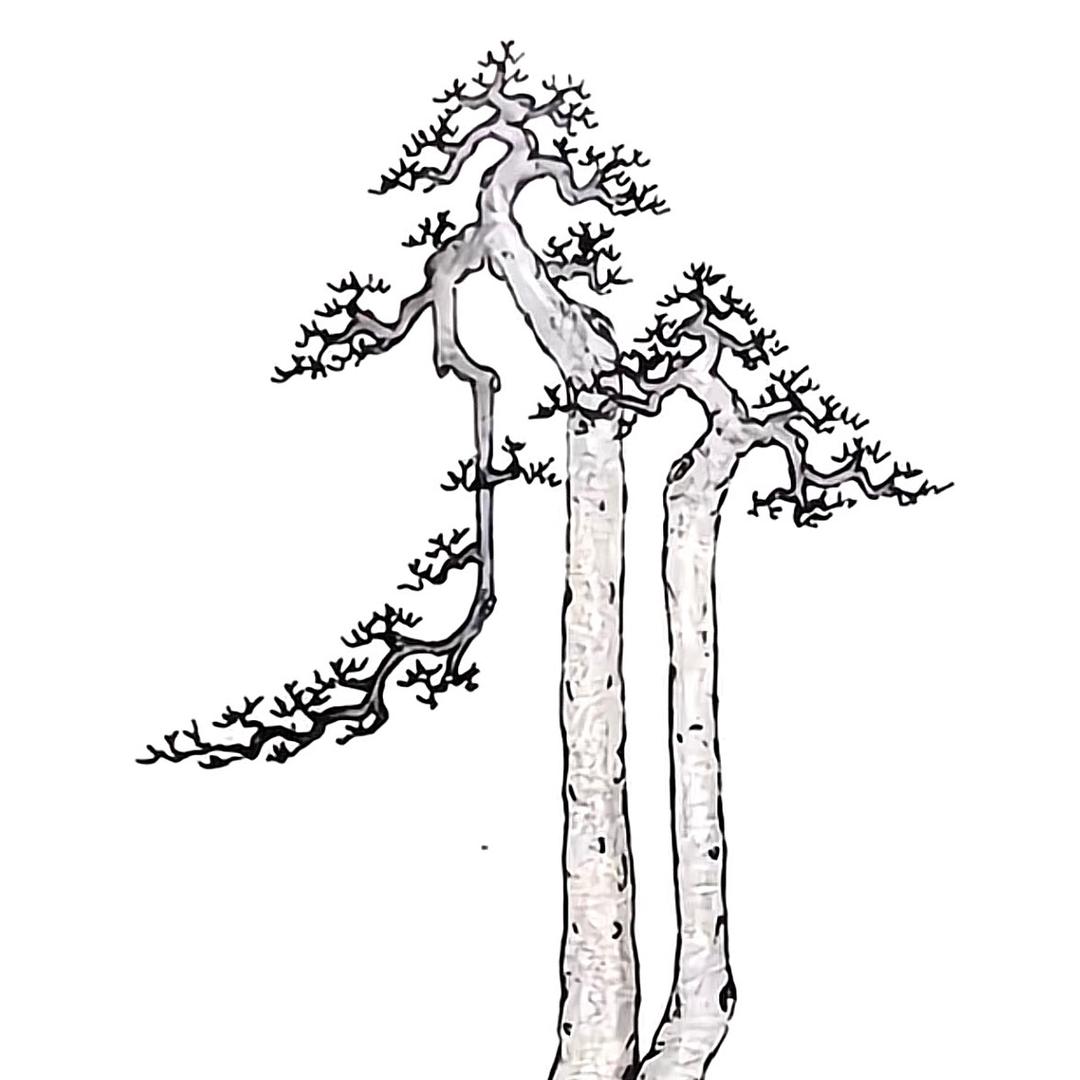 儋州卓韵艺术有限公司