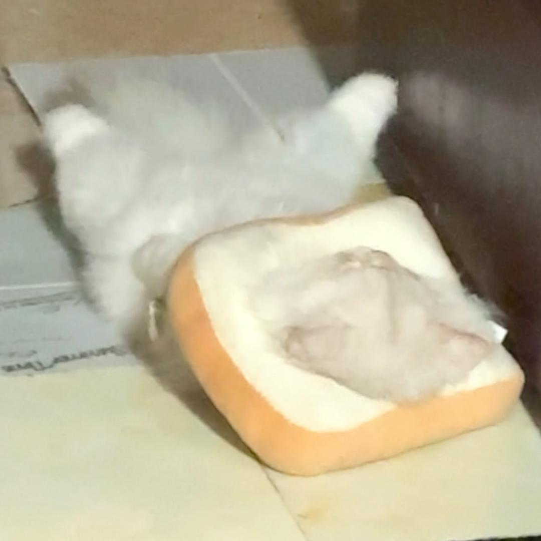 爱吃泡芙