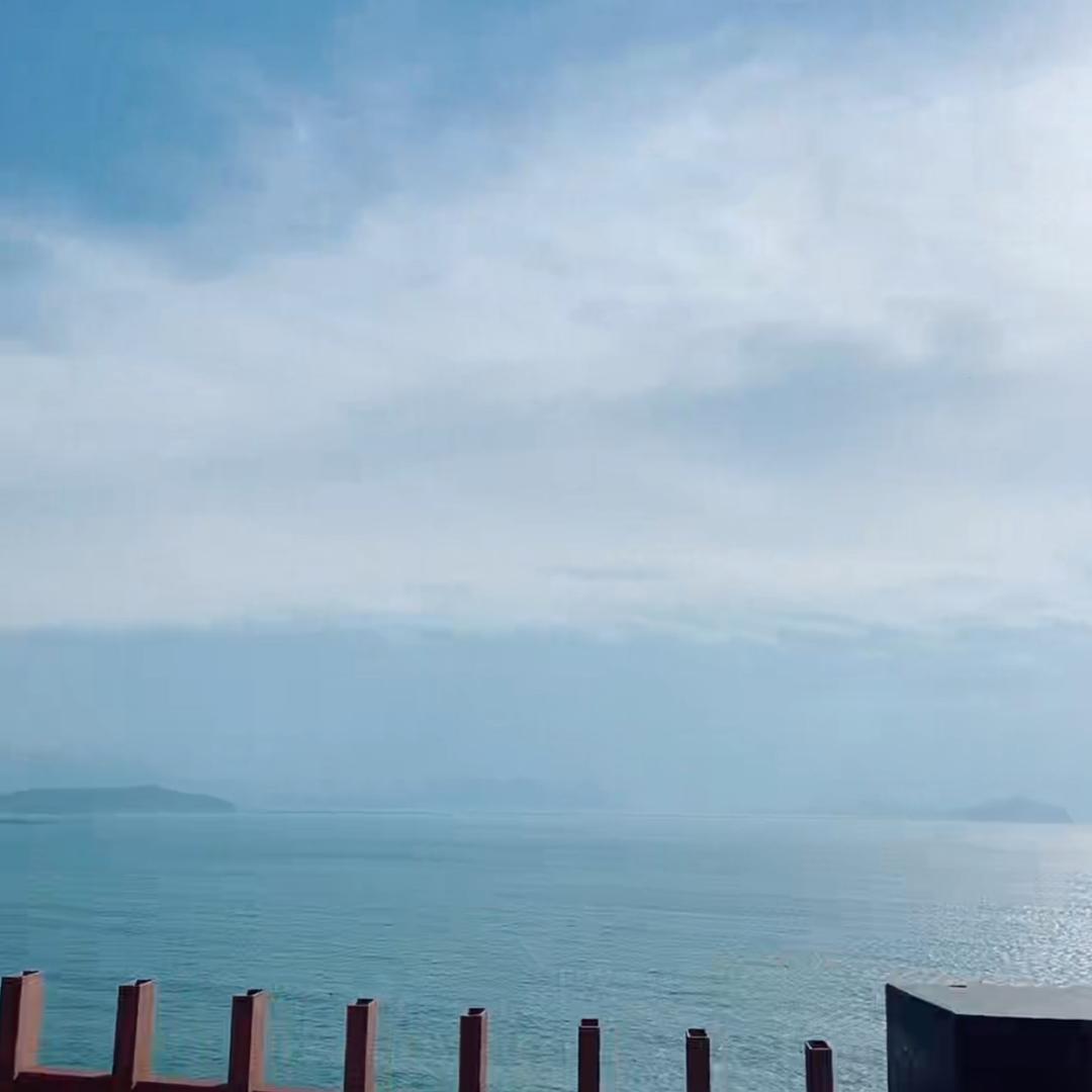 流浪猫