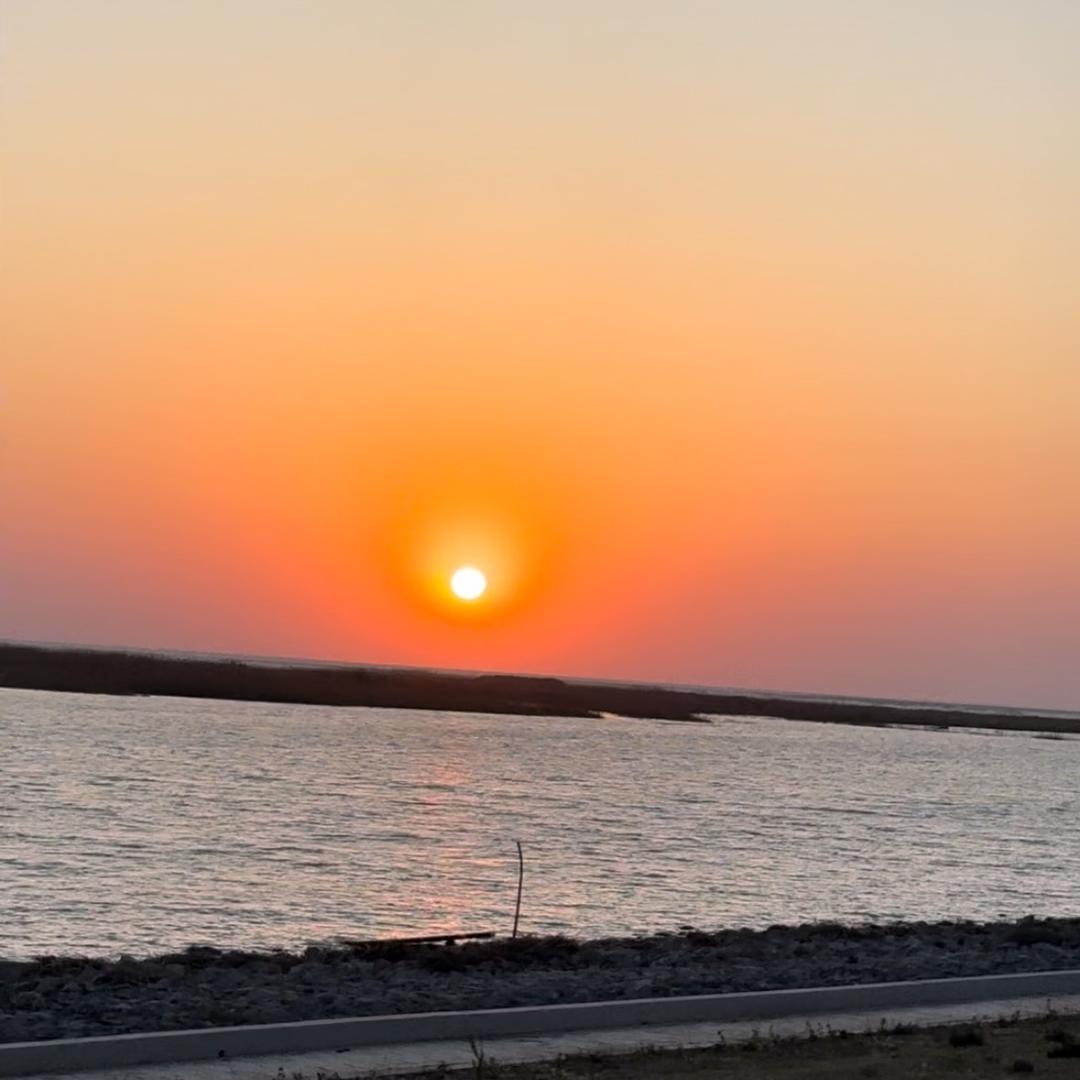 @艳儿在努力💪