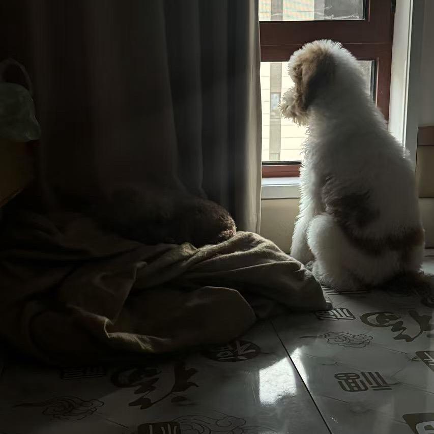 L。。