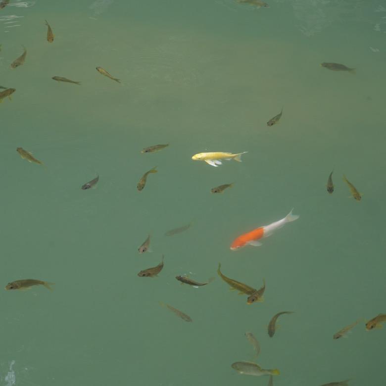 易燃易爆炸