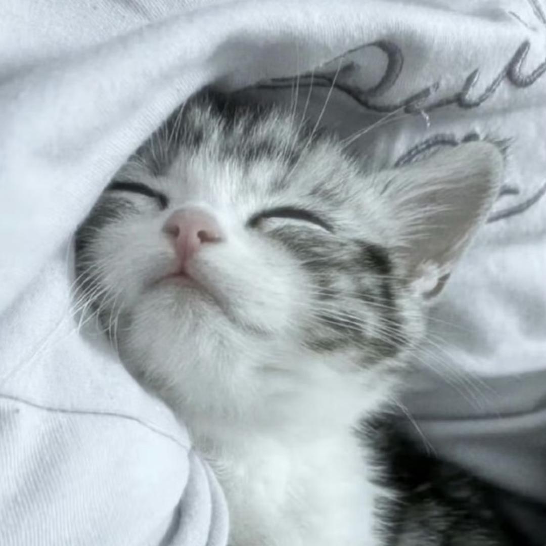 ooii_