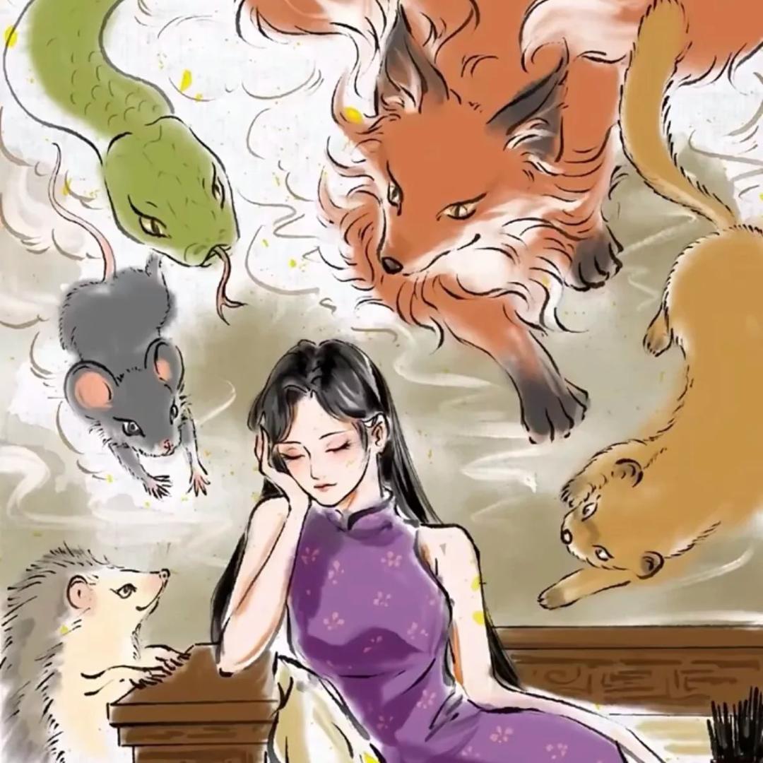 禅意🦊