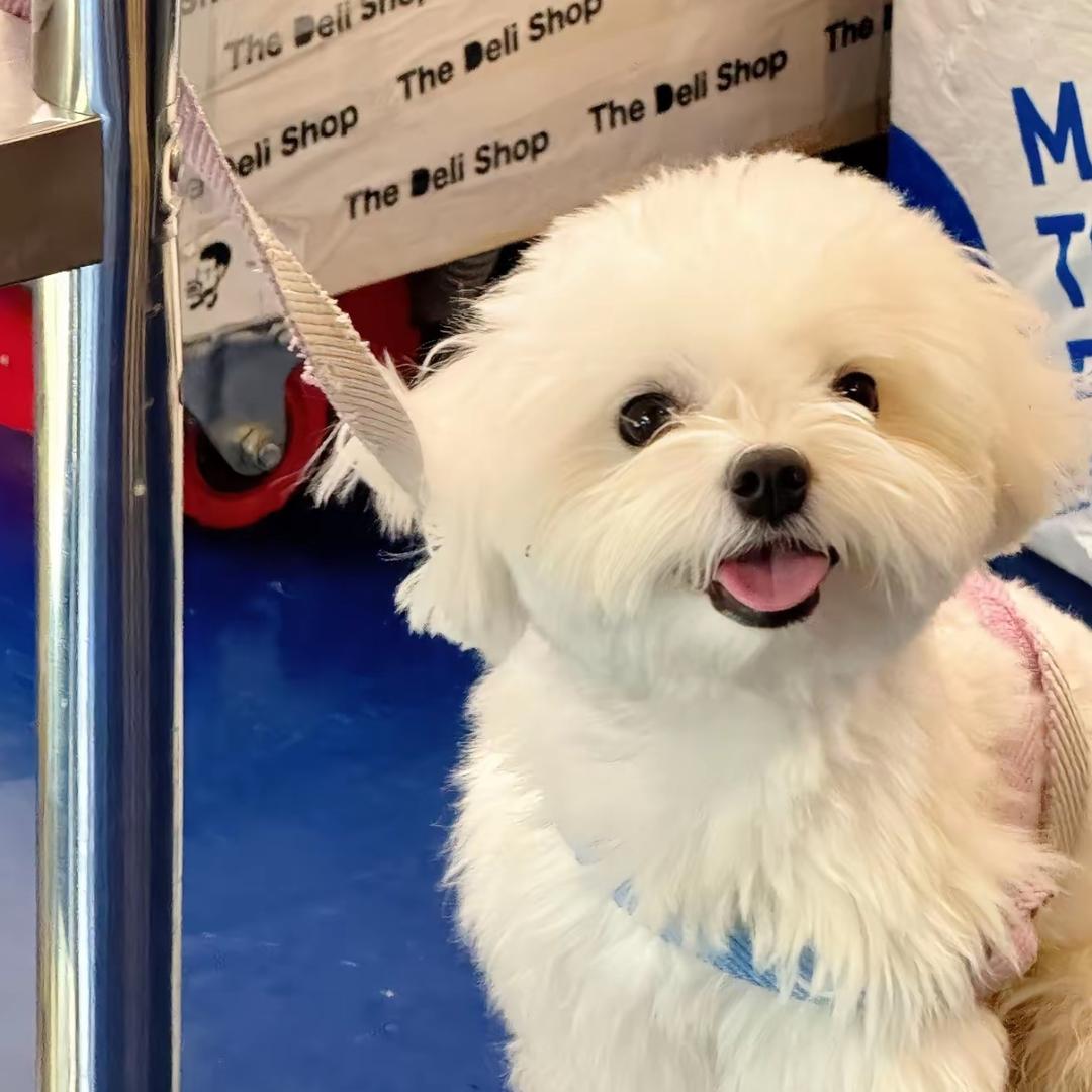 吃我两拳（备考版）